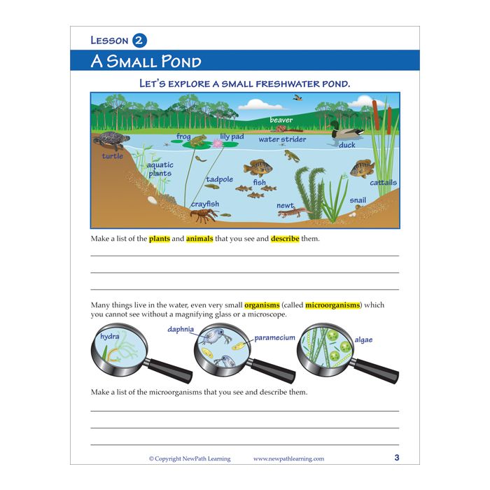 What are Ecosystems? Student Learning Guide For Grades 3-5 - Print ...