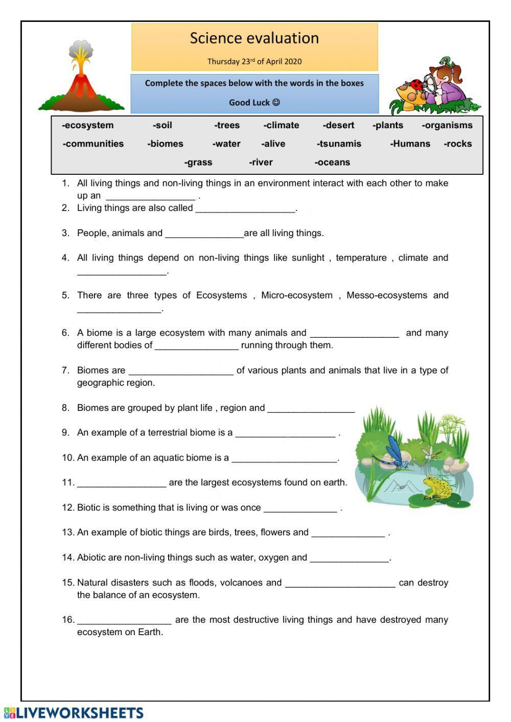 Ecosystems exercise  