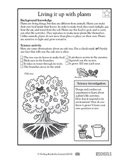 Living it up with plants | 3rd grade, 4th grade Science Worksheet ...
