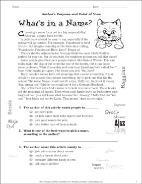 Whats in a Name? (Authors Purpose/Point of View) | Printable ...