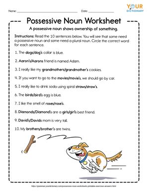 3rd grade possessive nouns worksheet