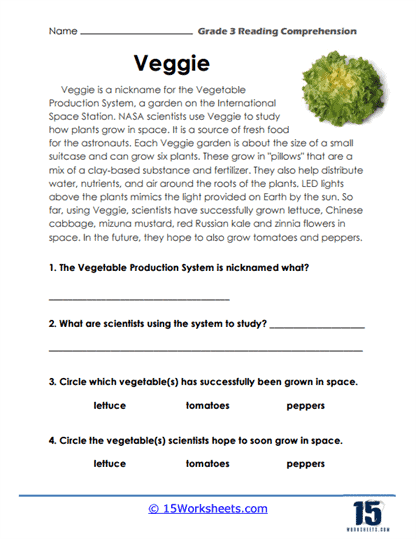 3rd grade reading worksheet to print