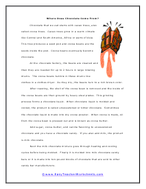 Reading Worksheets for 3rd Graders