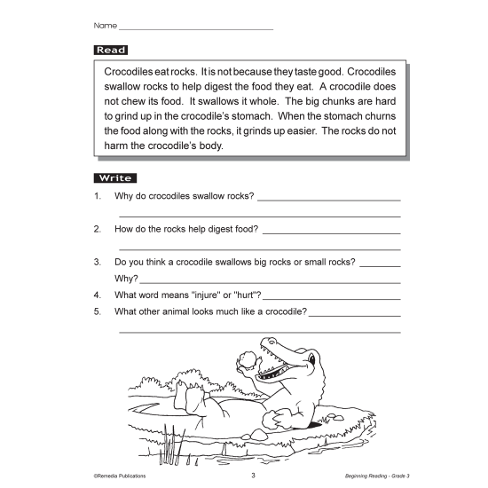 Beginning Reading - Grade 3 (Enhanced eBook)