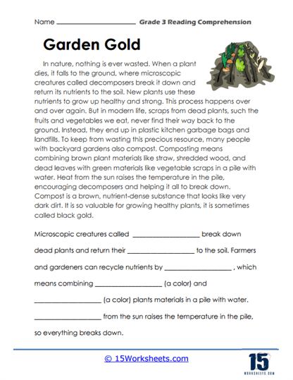 Grade 3 Reading Comprehension Worksheets