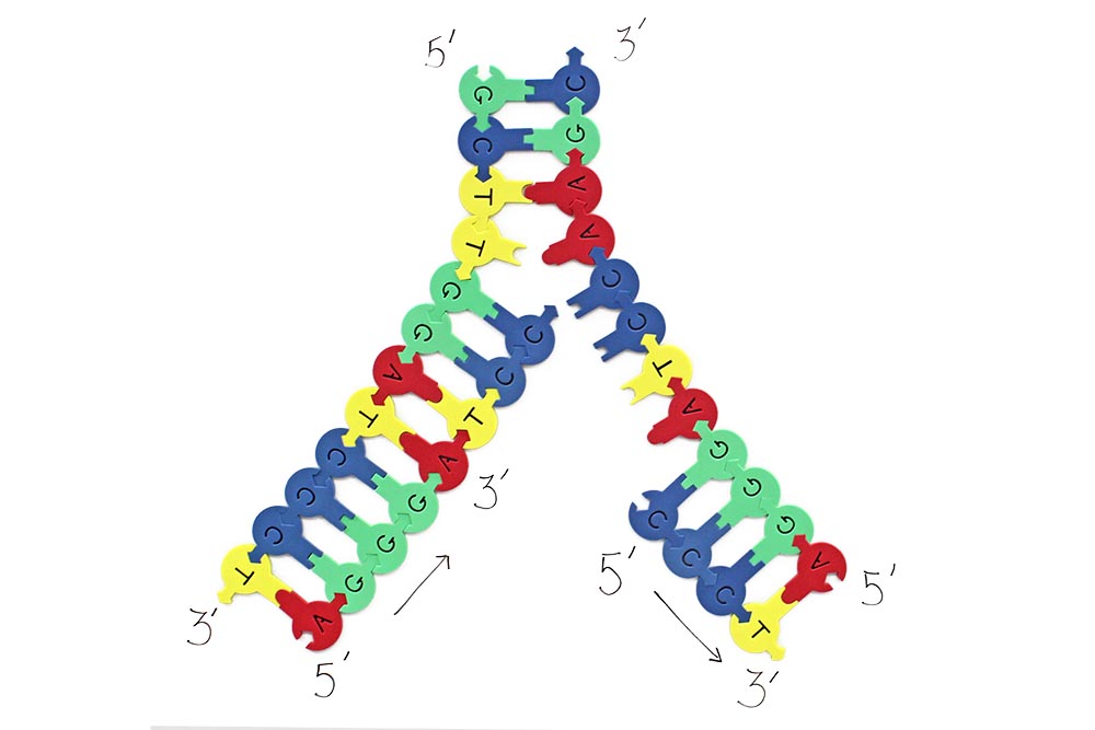 manipulative science education kit - 3D Molecular Designs