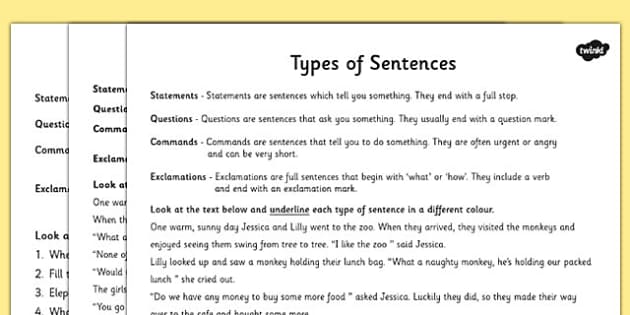 Types of Sentences Differentiated Activity Worksheet - ESL ...