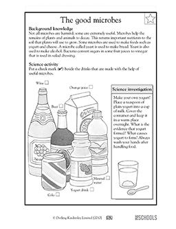 4th grade health worksheet