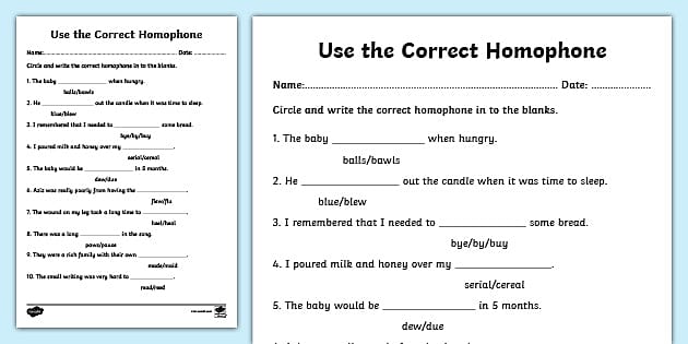 NEW * Homophones Worksheet | English Teaching Resource