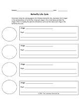 4th grade life science worksheet