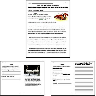 4th grade reading comprehension worksheet pdf