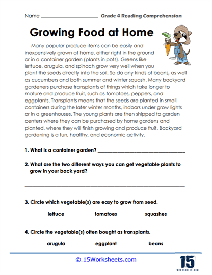 Grade 4 Reading Comprehension Worksheets