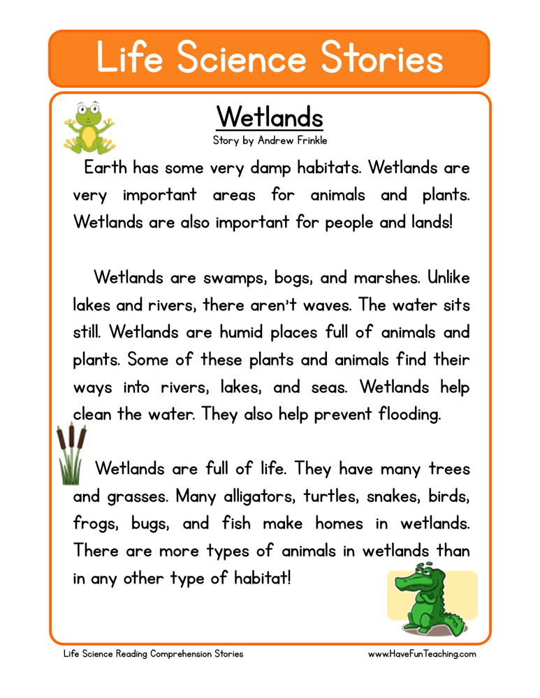 Reading Comprehension Worksheet - Wetlands
