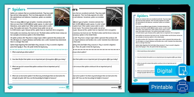 Fourth Grade Spiders Reading Response Activity - Twinkl