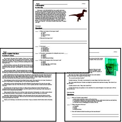 Fourth Grade Reading Comprehensions | Free PDF Worksheets ...
