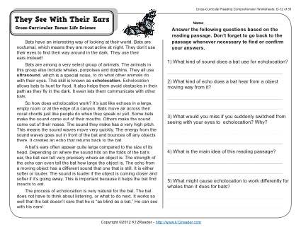 4th grade reading worksheet with answer key