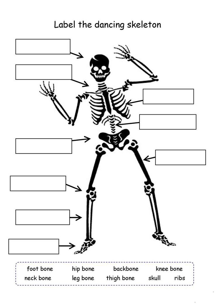 4th Grade Science Worksheets - Best Coloring Pages For Kids ...