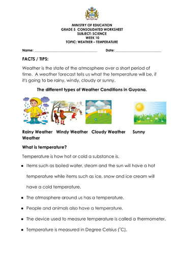 Grade 5 - Worksheets - Science
