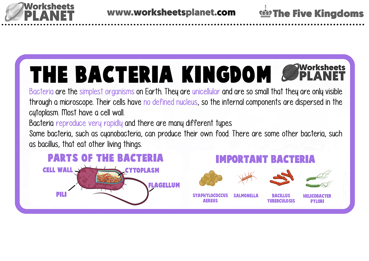 The Five Kingdoms of Living Things for kids | Super PACK - Worksheets