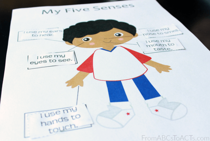 Free Worksheets About the 5 Senses for Preschoolers. TeachersMag.com