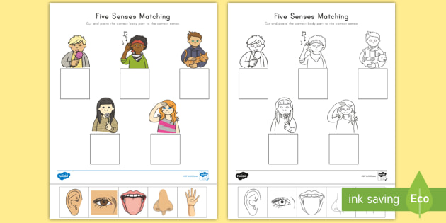 Five Senses Cut and Paste Matching Activity (teacher made)