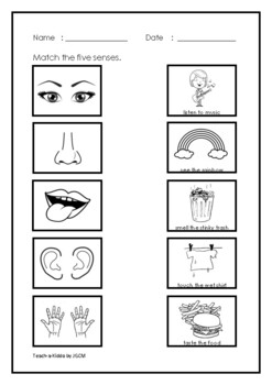 5 senses kindergarten worksheet