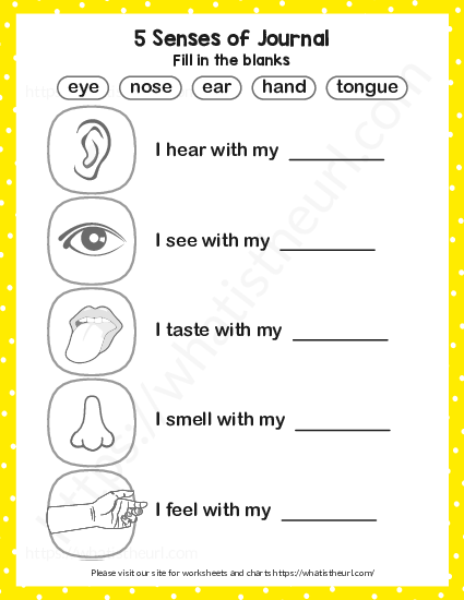 5 senses kindergarten worksheet