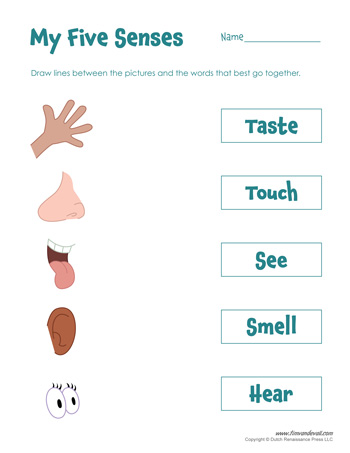 5 senses worksheet for preschool