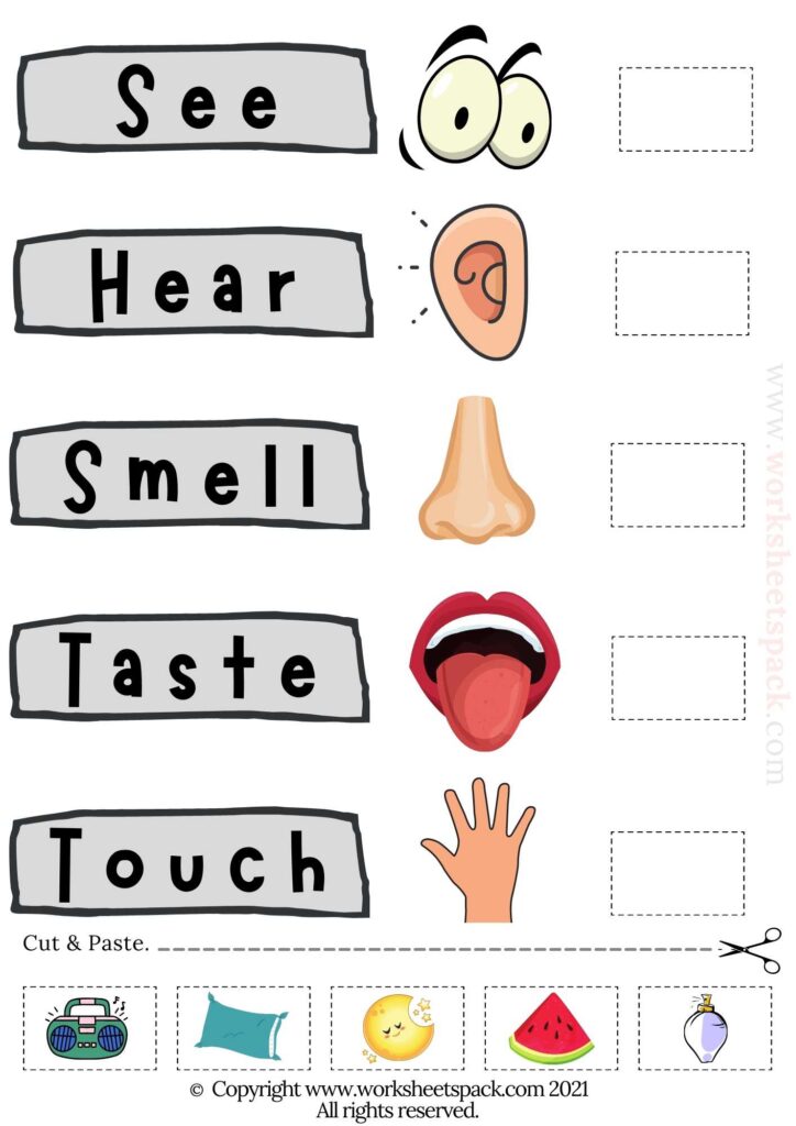 5 senses worksheet for preschool