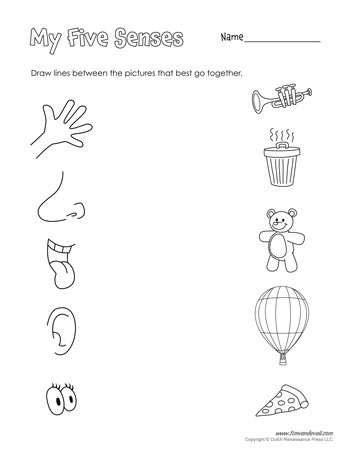 5 senses worksheet for preschool