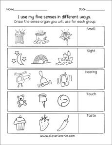 5 senses worksheet kindergarten