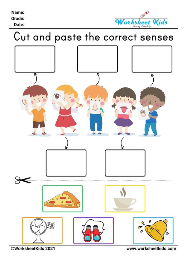 Five senses for kids | Activities &amp; Worksheet | Preschool ...