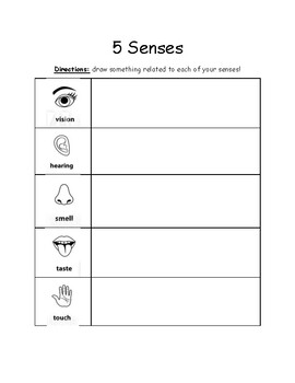 5 senses worksheet kindergarten