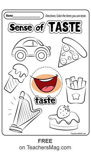 5 senses worksheet preschool