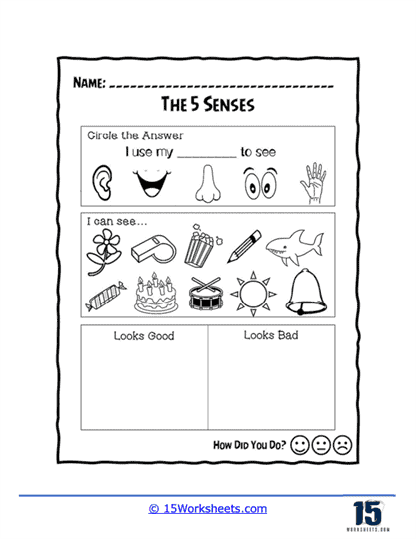 Five Senses Worksheets - 15 Worksheets Library
