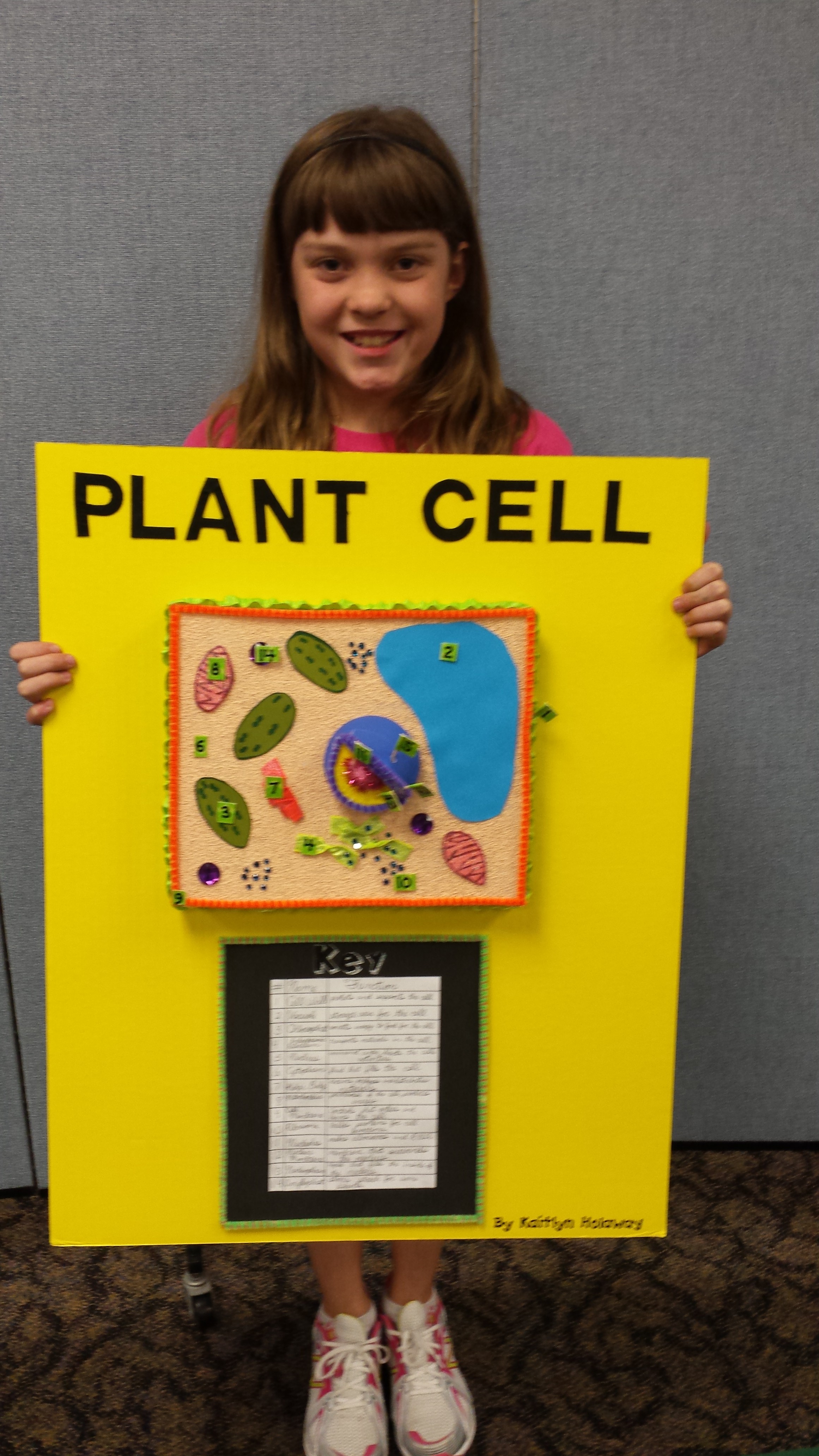 5th Grade Plant Cell Project - Cornerstone Christian School