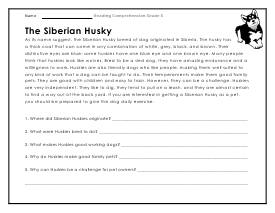 5th grade comprehension worksheet