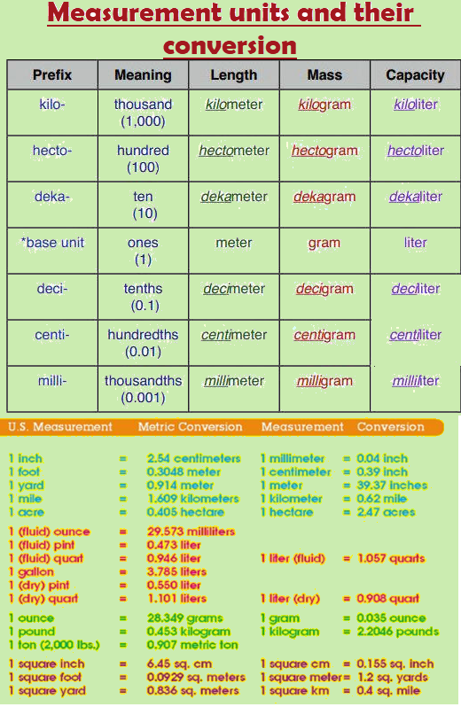 5th grade measurement worksheet