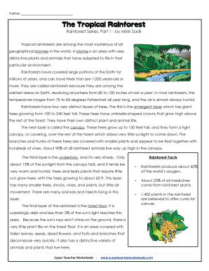 5th grade rainforest worksheet