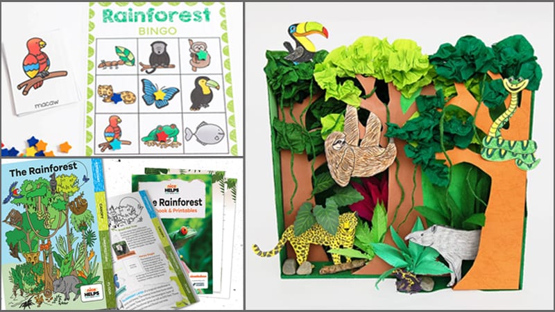 13 Activities to Help Teach Your Students About the Wild and ...