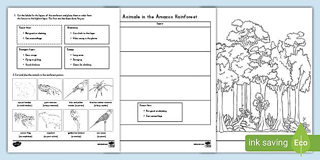 Animals in the Amazon Rainforest Cut and Paste Activity