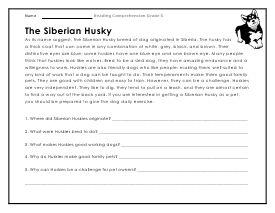 Reading Worksheets for 5th Graders