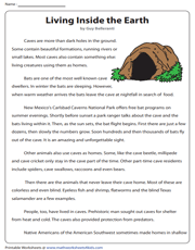 5th grade reading comprehension
