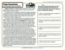 Taiga Ecosystems Worksheet for 4th - 5th Grade | Lesson Planet