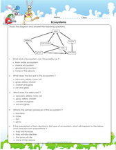 5th grade science ecosystem worksheet