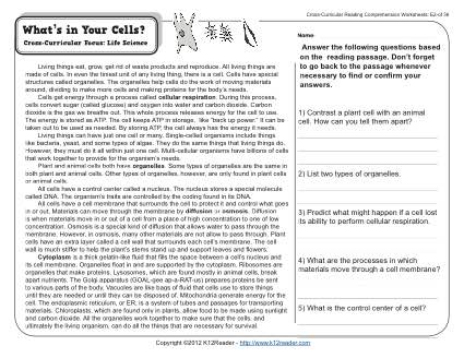 5th grade science worksheet with answer key