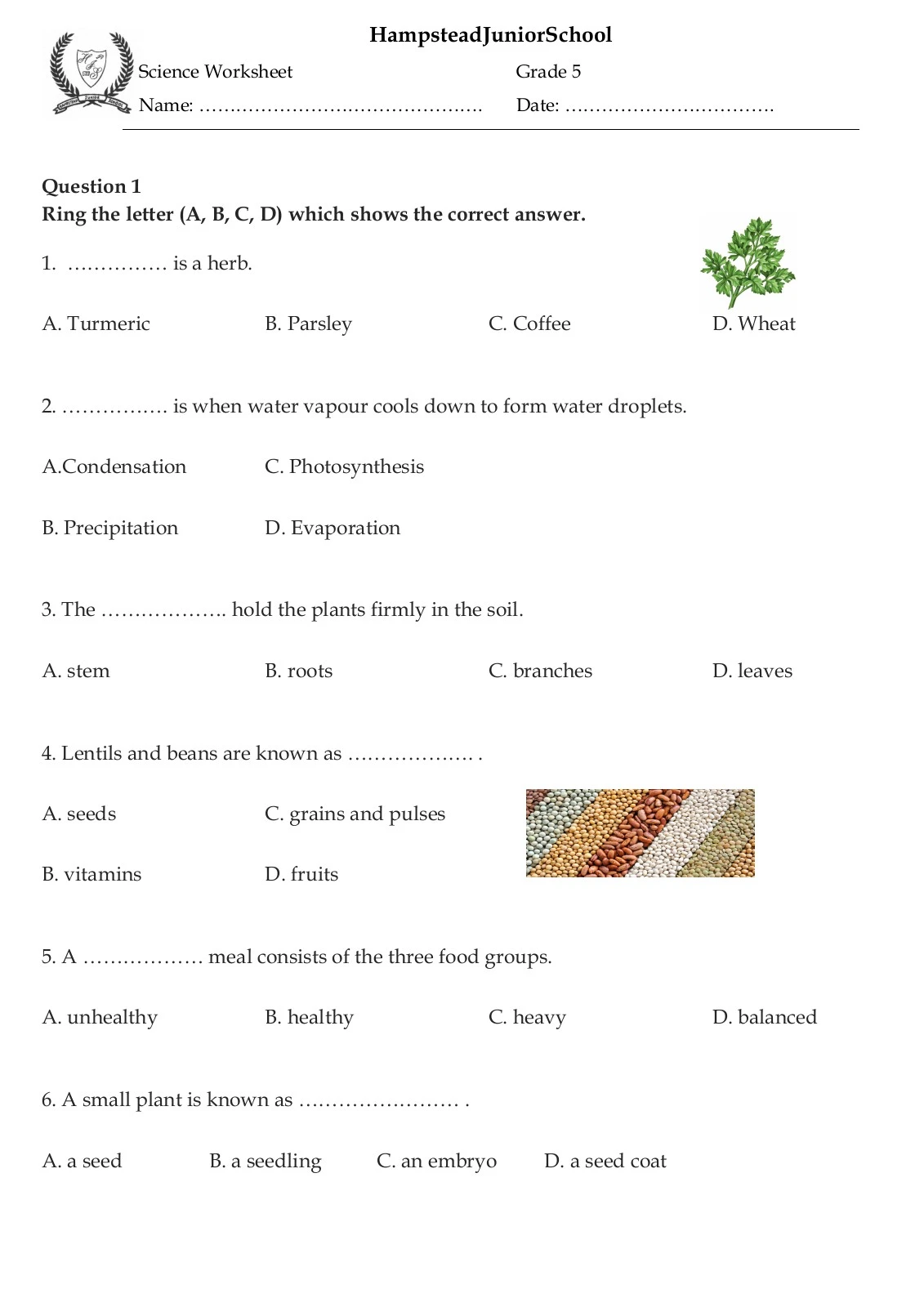 Science Worksheet 1 Grade 5 - Flipbook by Feroza Jhumka | FlipHTML5 ...