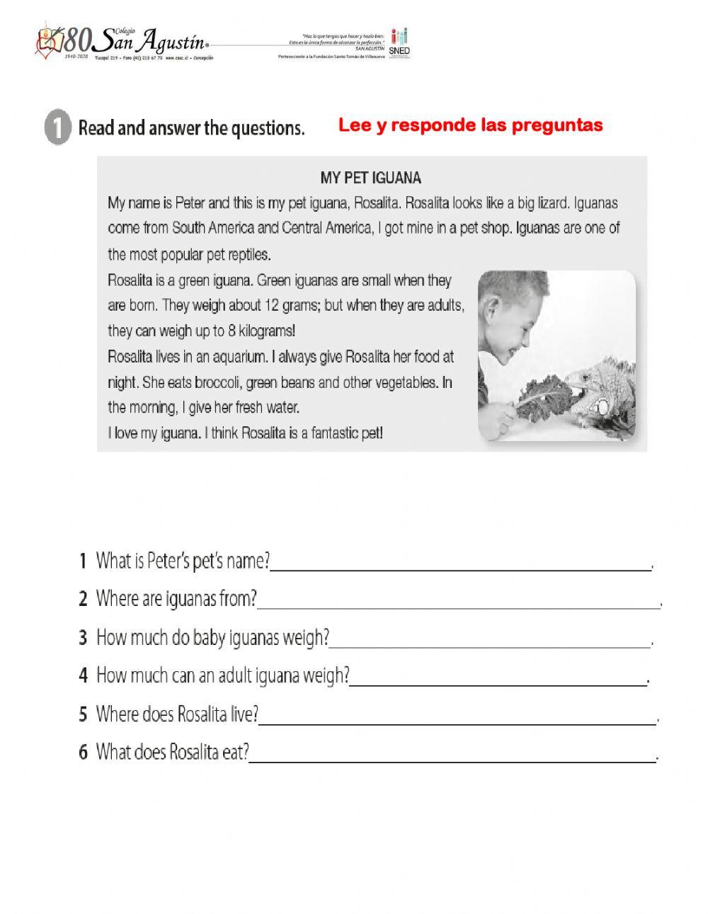 Reading review fifth grade worksheet  