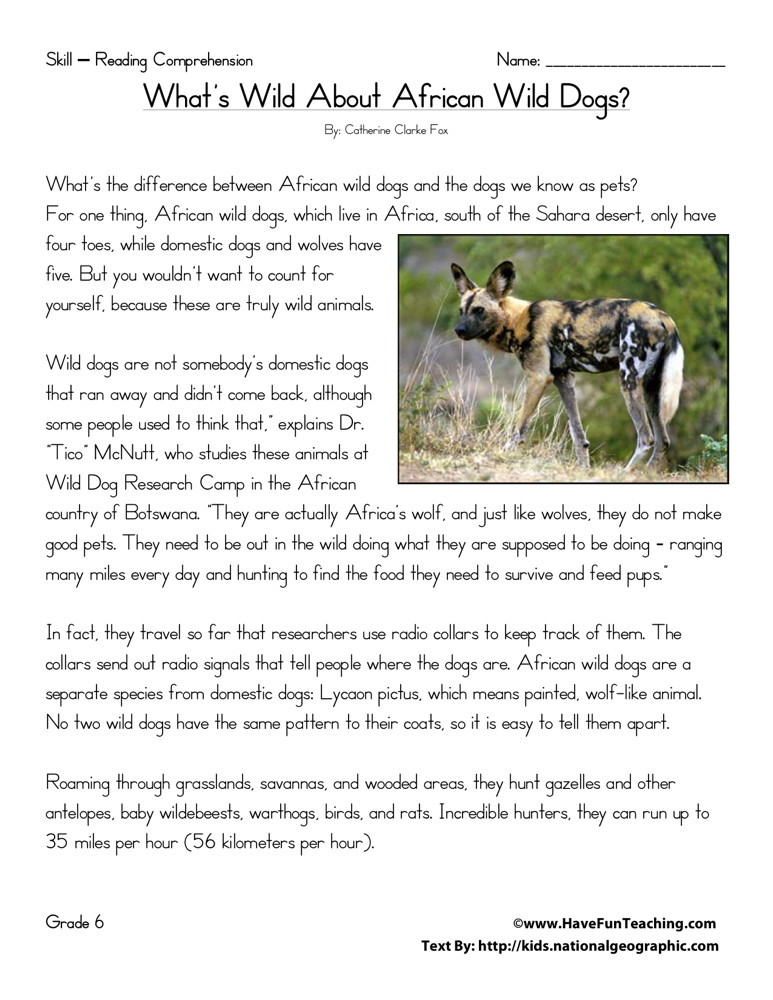 Reading Comprehension Worksheet - What Wild About African Wild Dogs?