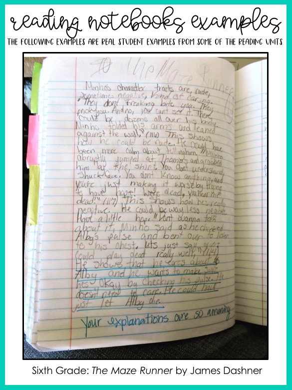 Teach the 6th Grade CCSS Reading Standards with Novels - The ...